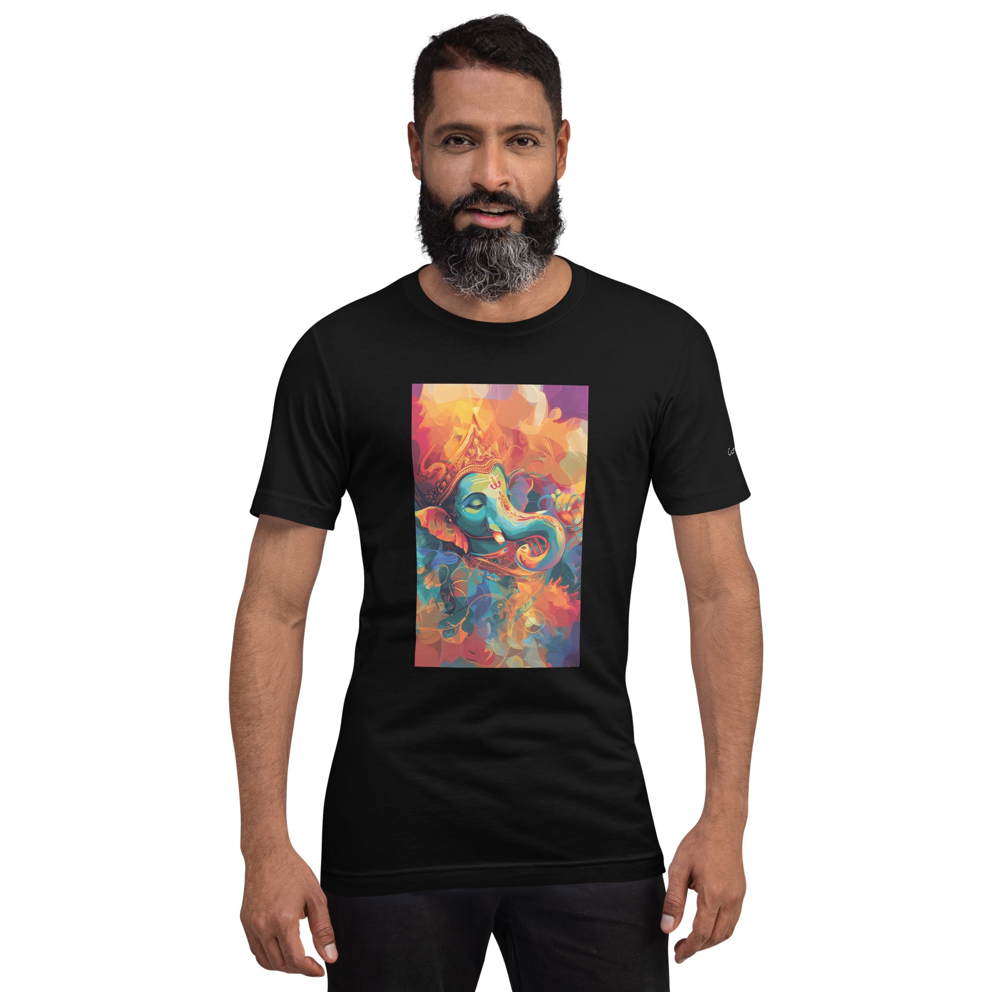Lord Ganesha Unisex t-shirt